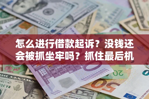 北京怎么进行借款起诉？没钱还会被抓坐牢吗？抓住最后机会！