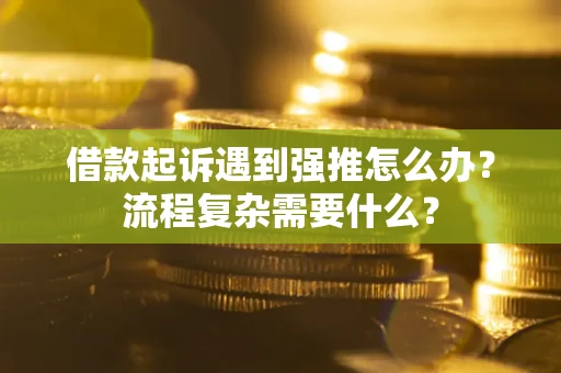 北京借款起诉遇到强推怎么办？流程复杂需要什么？