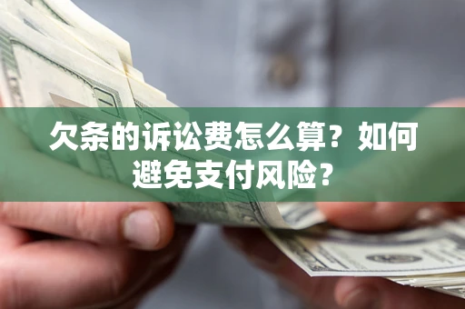 北京欠条的诉讼费怎么算？如何避免支付风险？